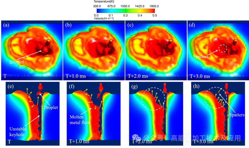 news-813-484 news-813-484